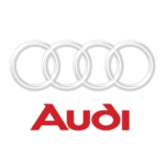 audiicon